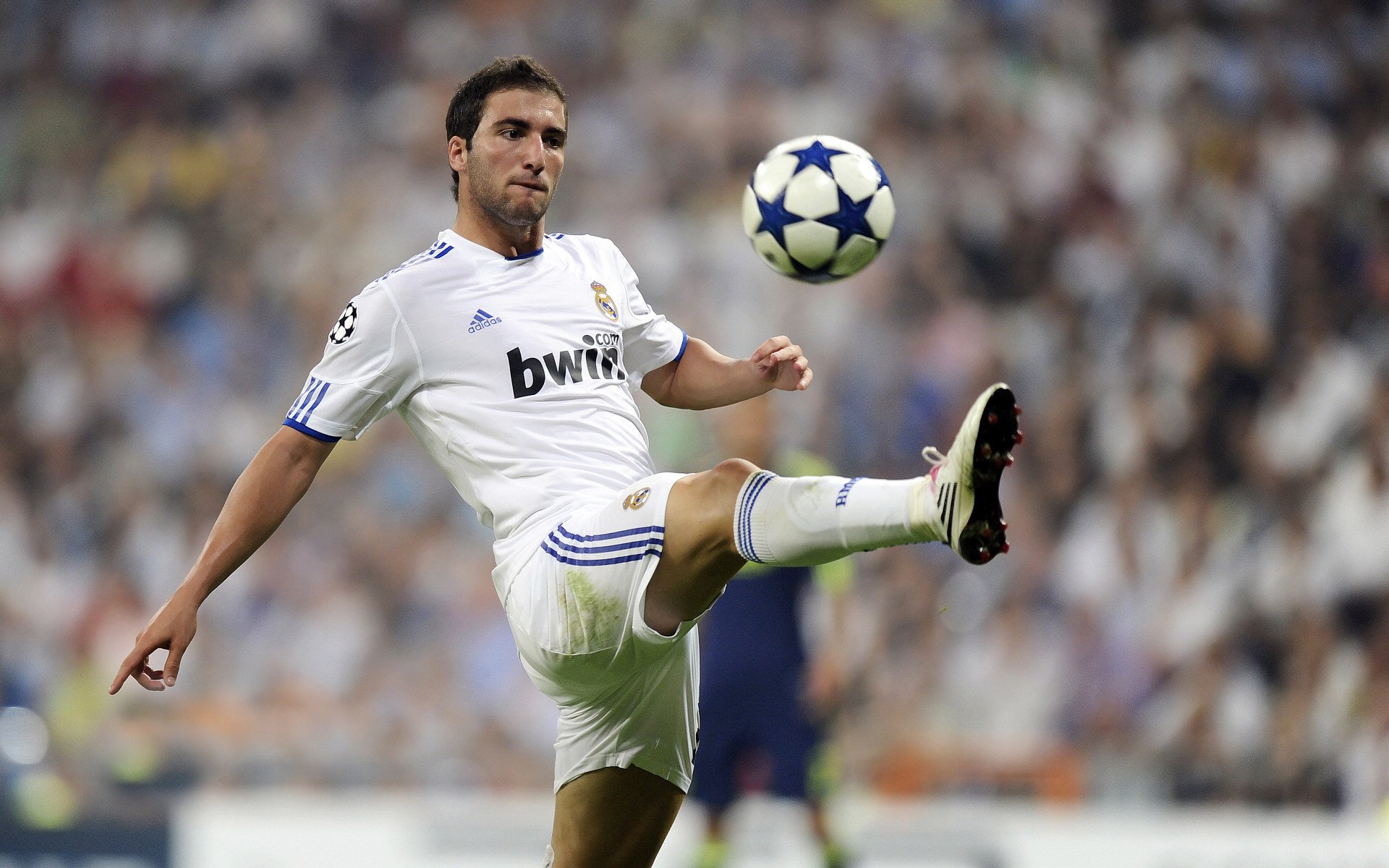 中国足球青训体系人才培养机制持续优化，中国足球青训体系人才培养机制持续优化