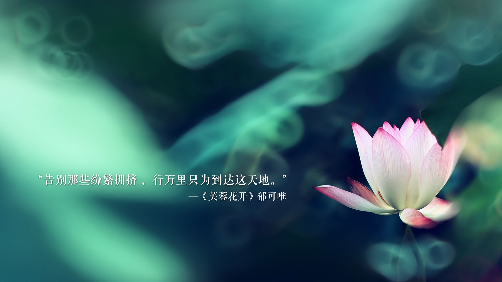 《王者荣耀战队击败强敌,夺得年度王者》,王者荣耀战队队伍战力是什么意思