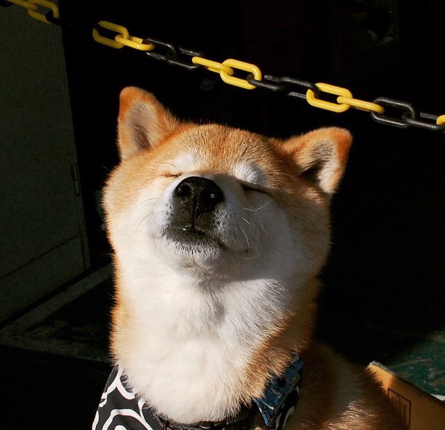 开云·Kaiyun网页版-传奇教练的战术思想“秘籍”大公开，nba_传奇教练